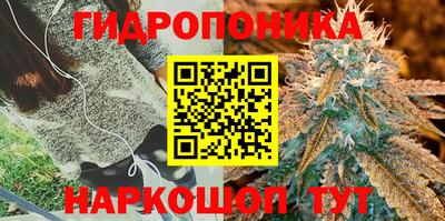 прущие грибы Дубна