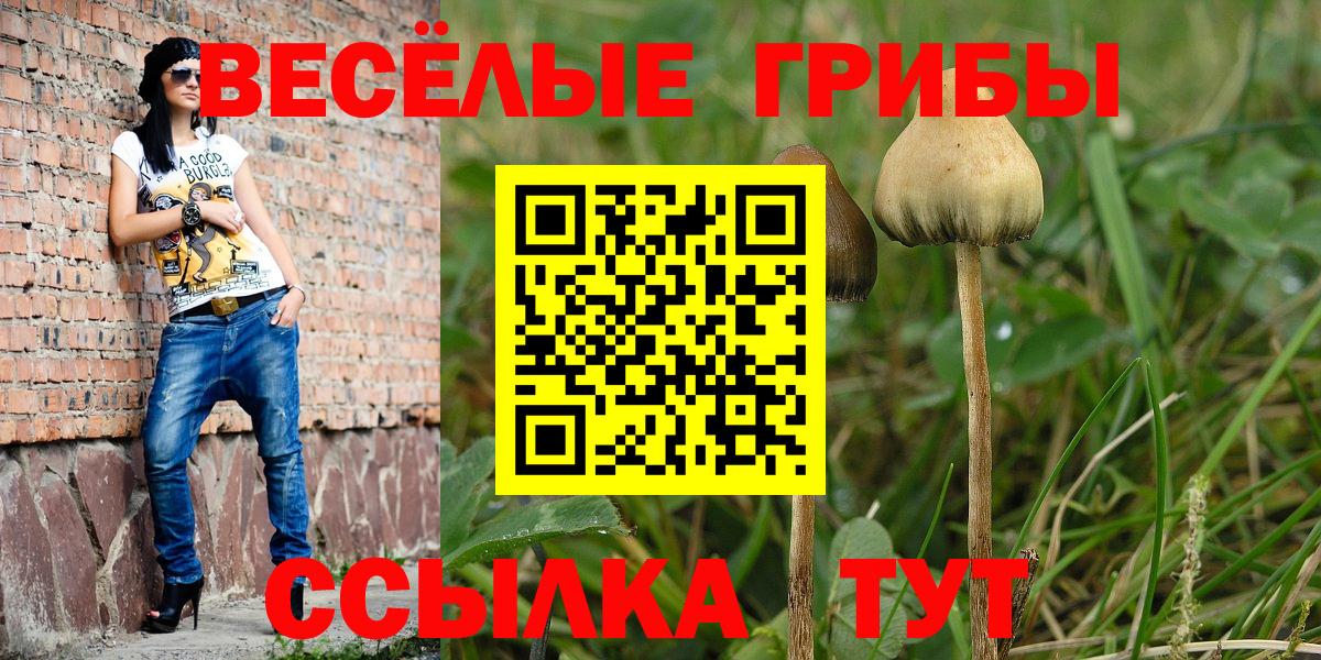 Зерноград  Галлюциногенные грибы мухоморы  Вход с VPN  Псилоцибиновые грибы мицелий 